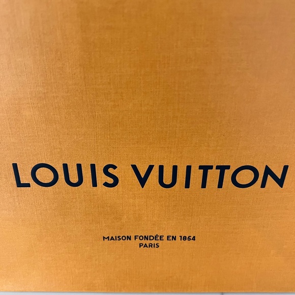ASSORTED LOUIS VUITTON GIFT SHOPPING BAGS🧡 - Picture 6 of 9